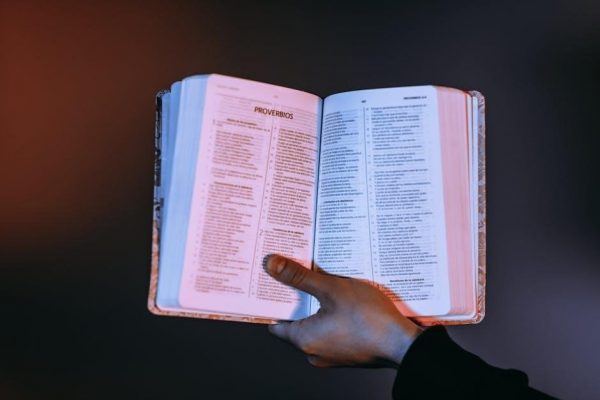 bible word search printable pdf