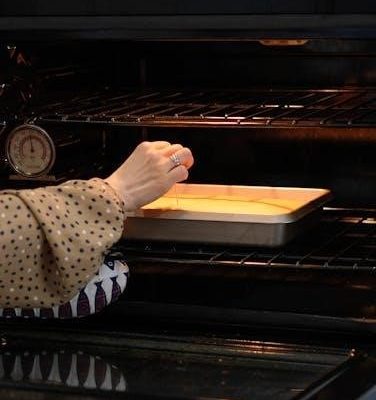 furrion oven manual
